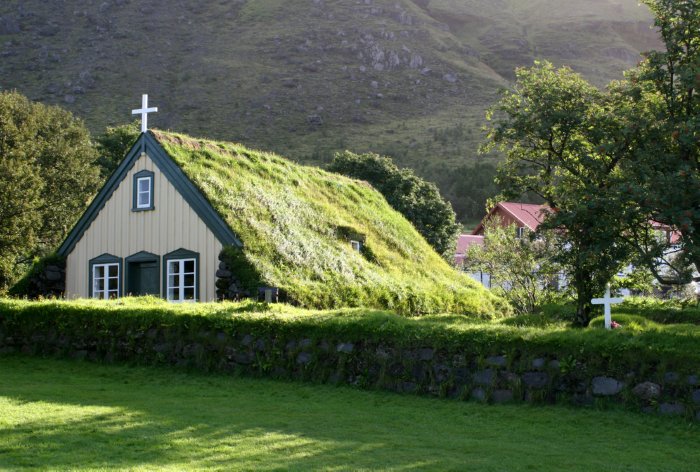 green roofed house